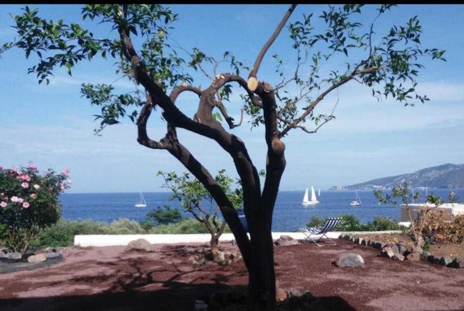 Villa Insolia Santa Marina Salina Δωμάτιο φωτογραφία